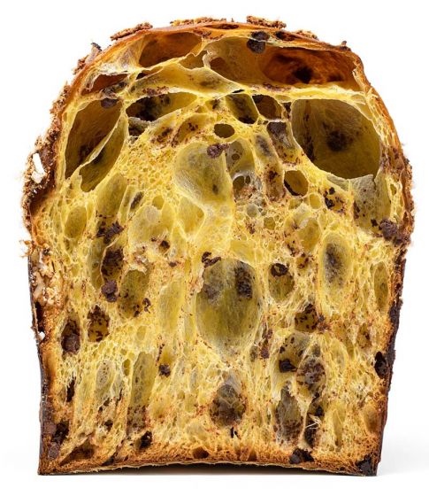 Chocolate Panettone